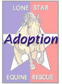 adoptiontitle.gif
