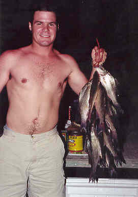 mattwhitebass.jpg